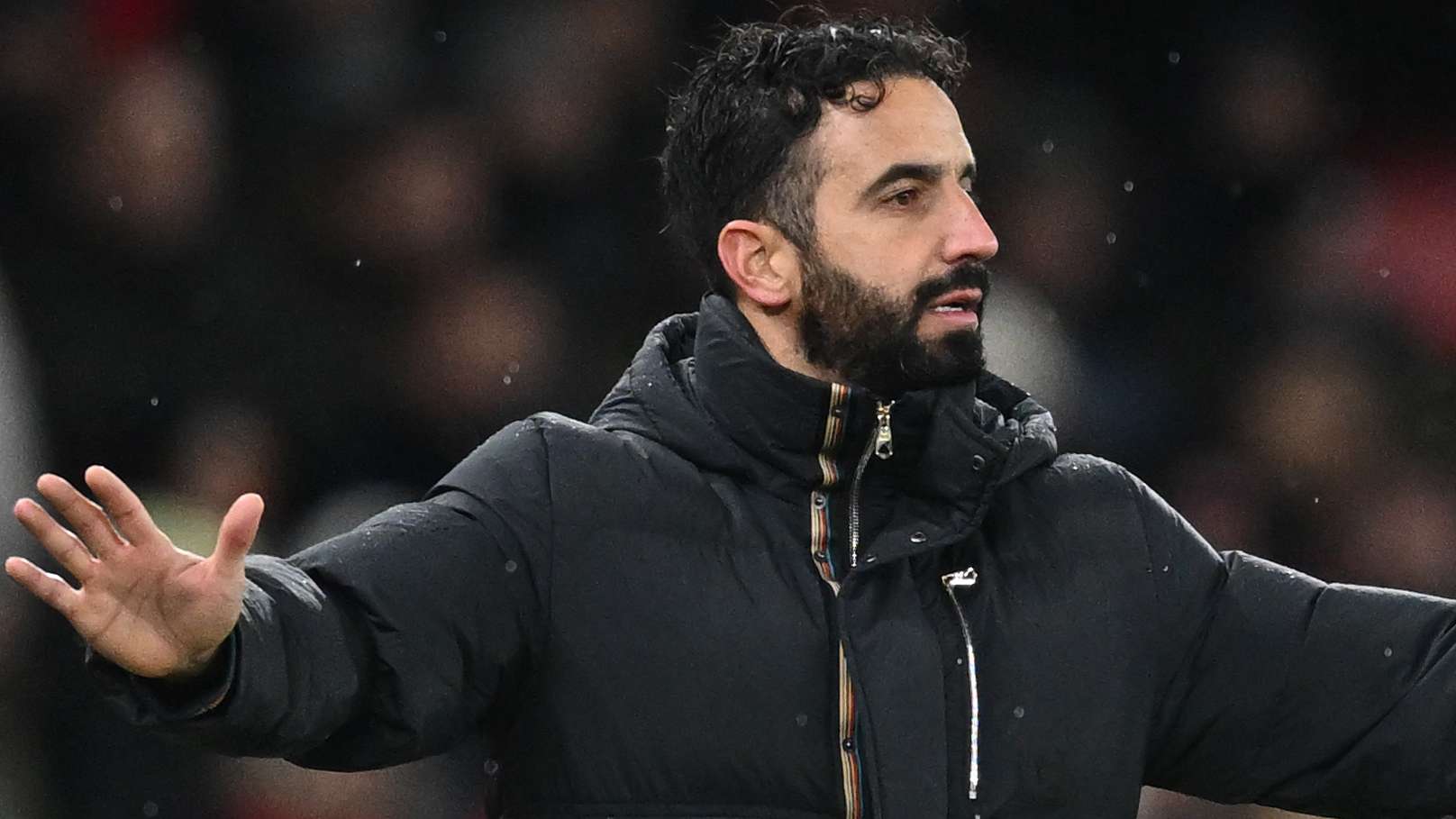 我们将从赛 我们将从赛