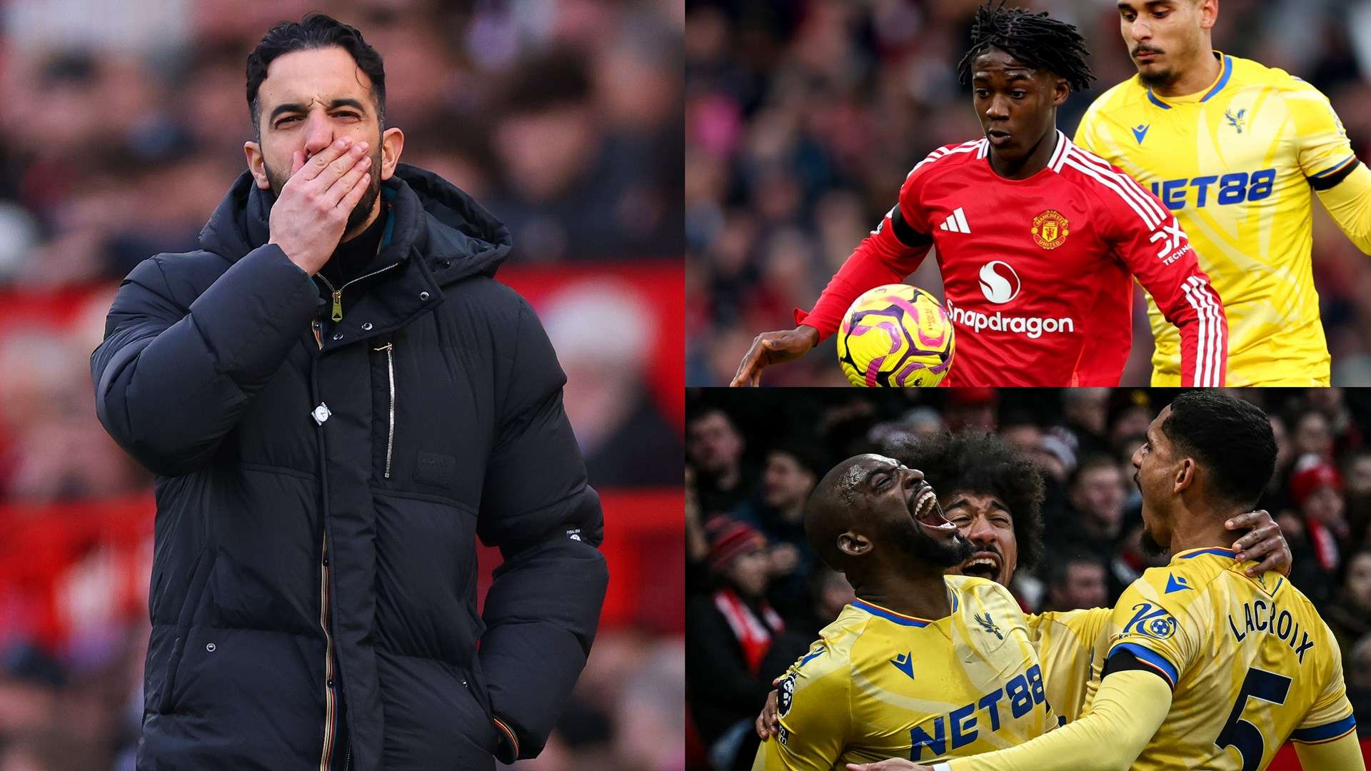 球迷和专家 球迷和专家