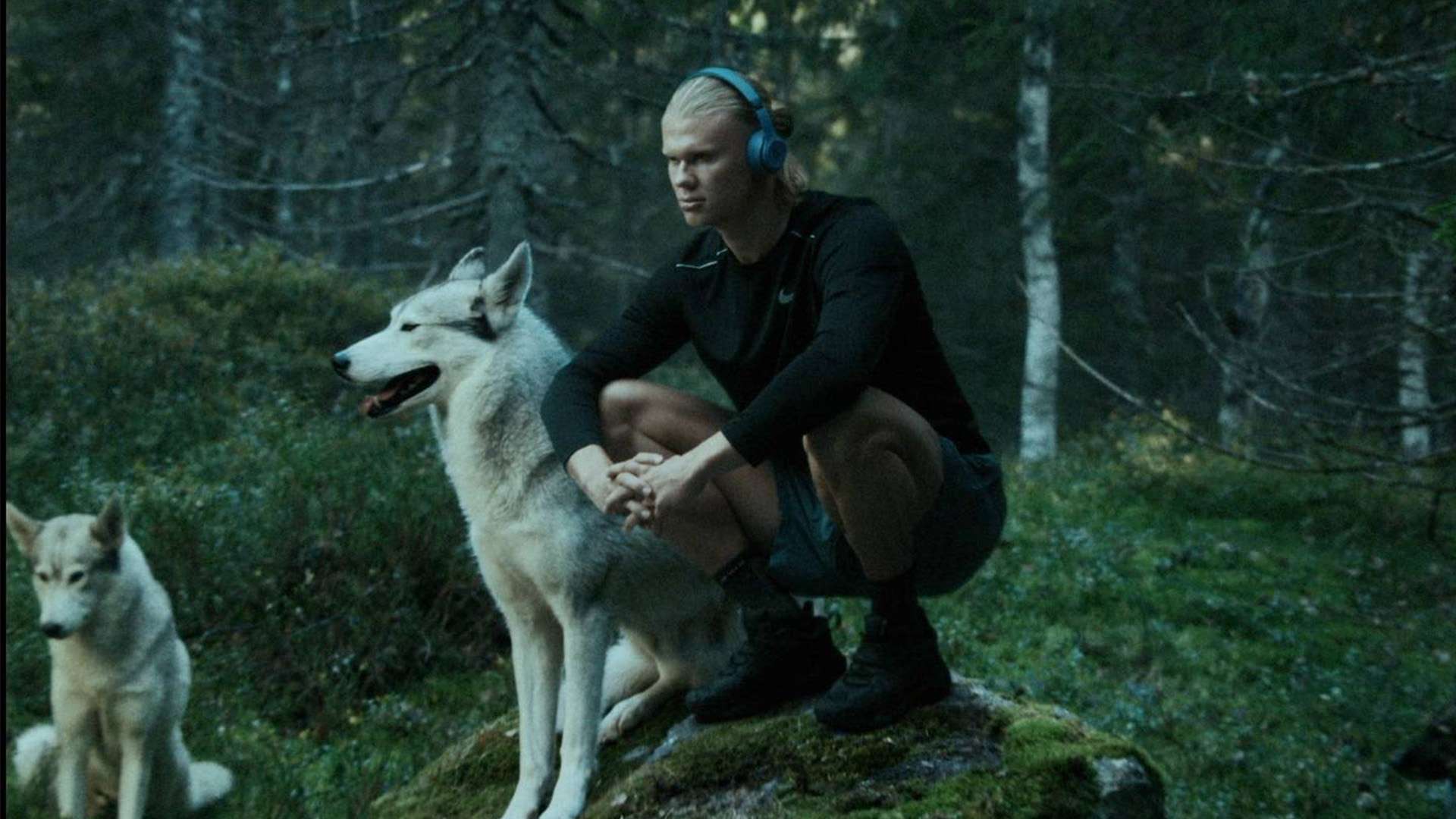 他的传球视 他的传球视