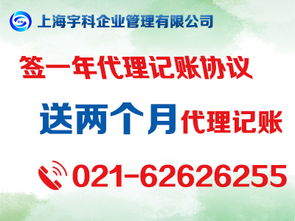 注册上海软件公司